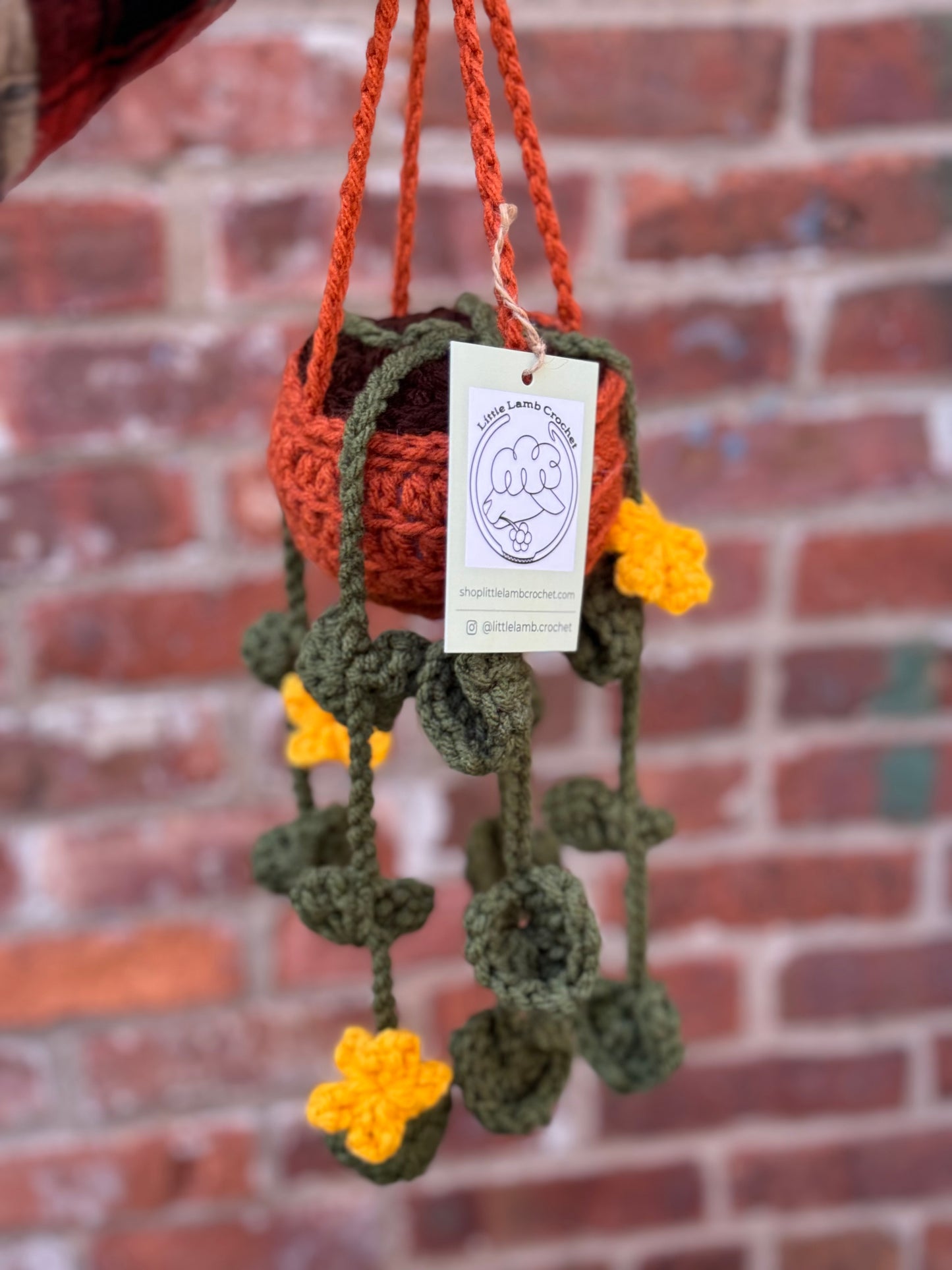 Crochet Hanging Plant