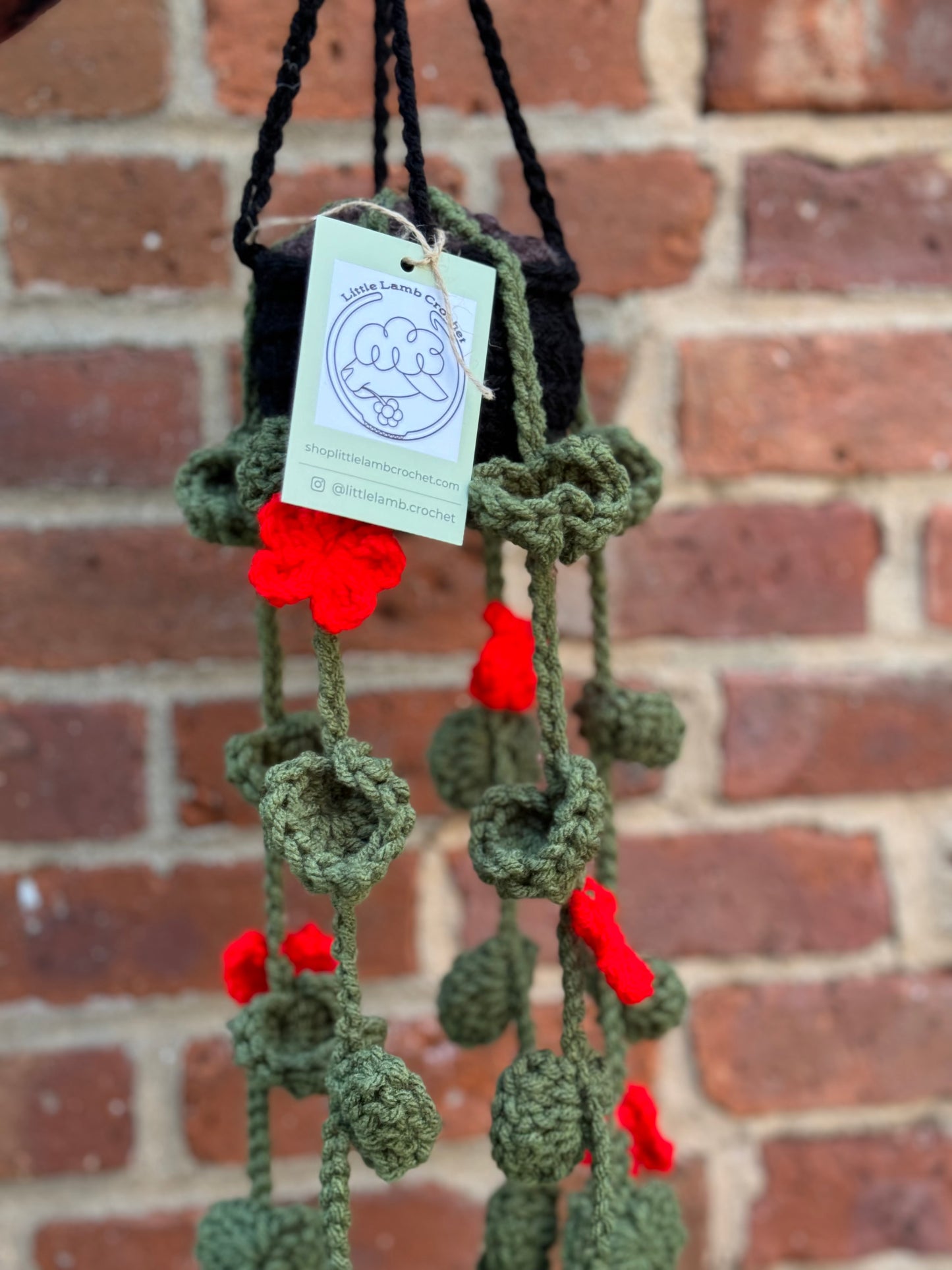 Crochet Hanging Plant