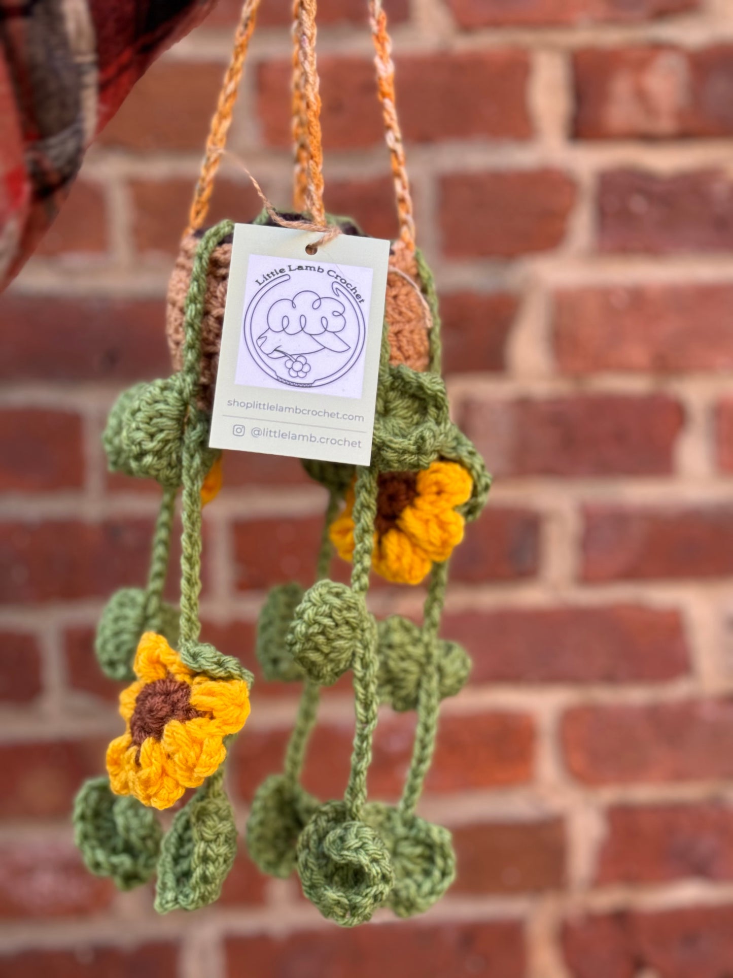 Crochet Hanging Plant