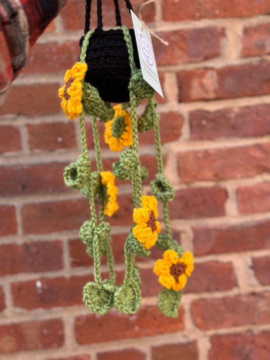 Crochet Hanging Plant