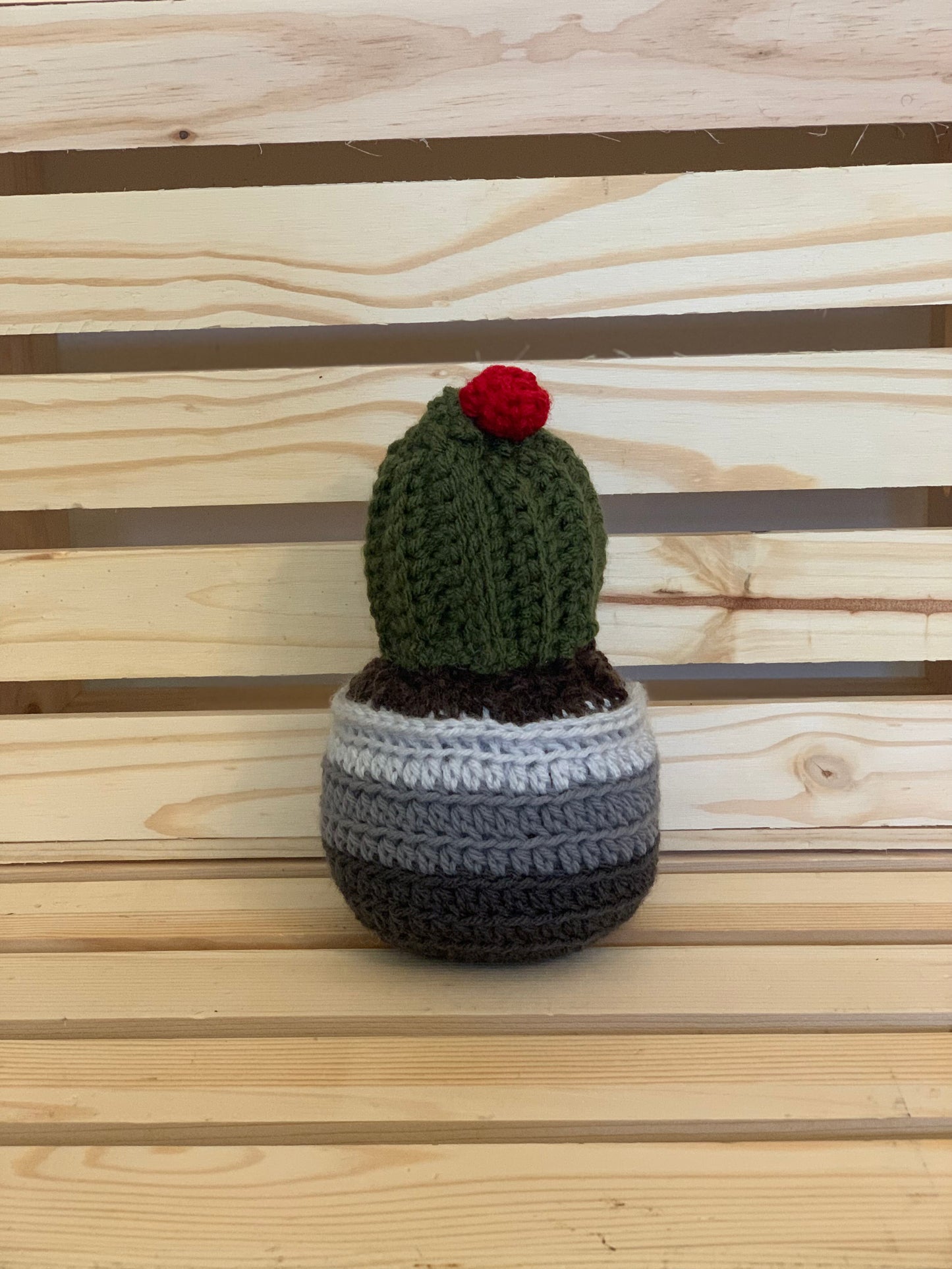 Crochet Cactus Plant