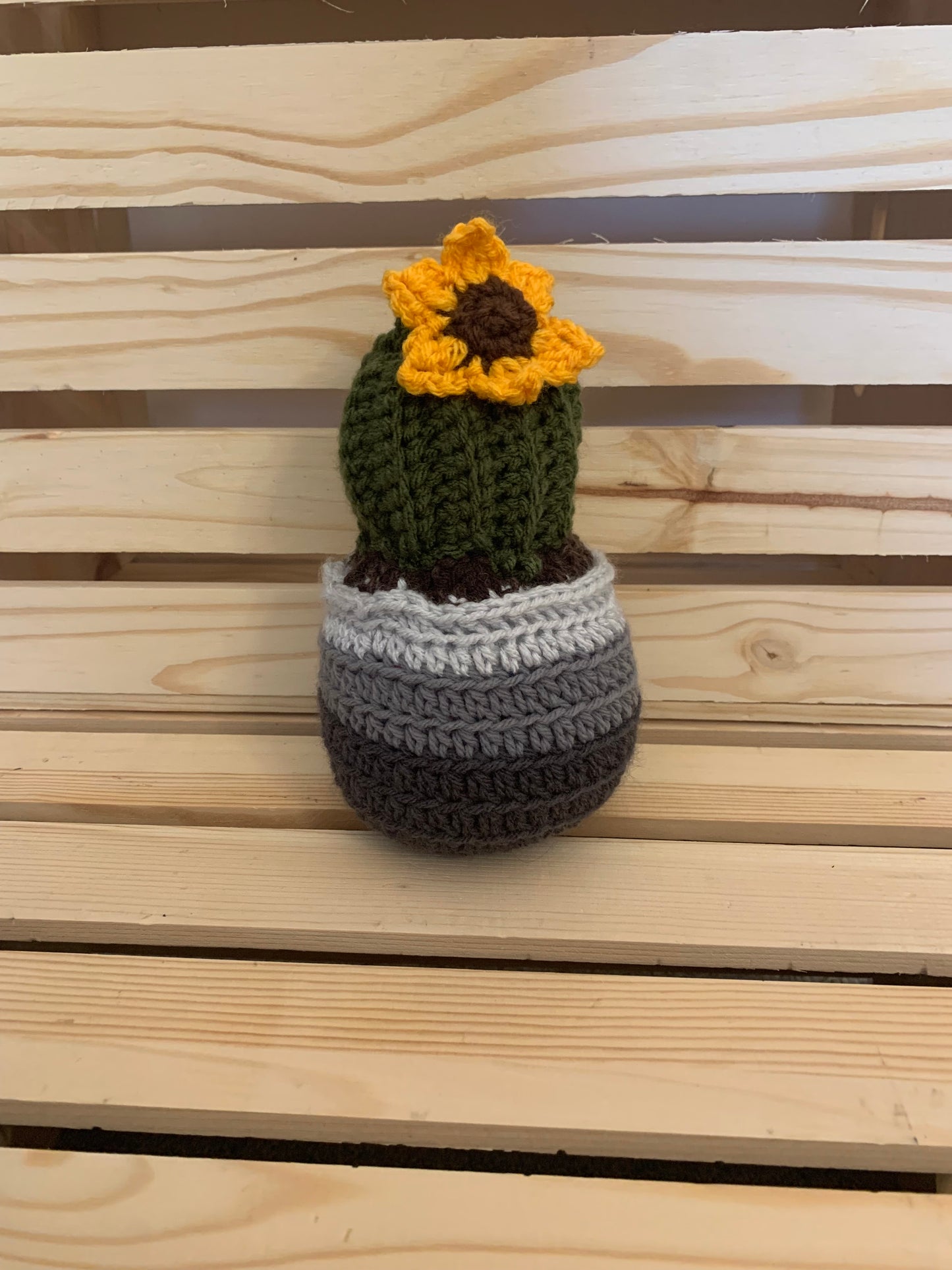 Crochet Cactus Plant