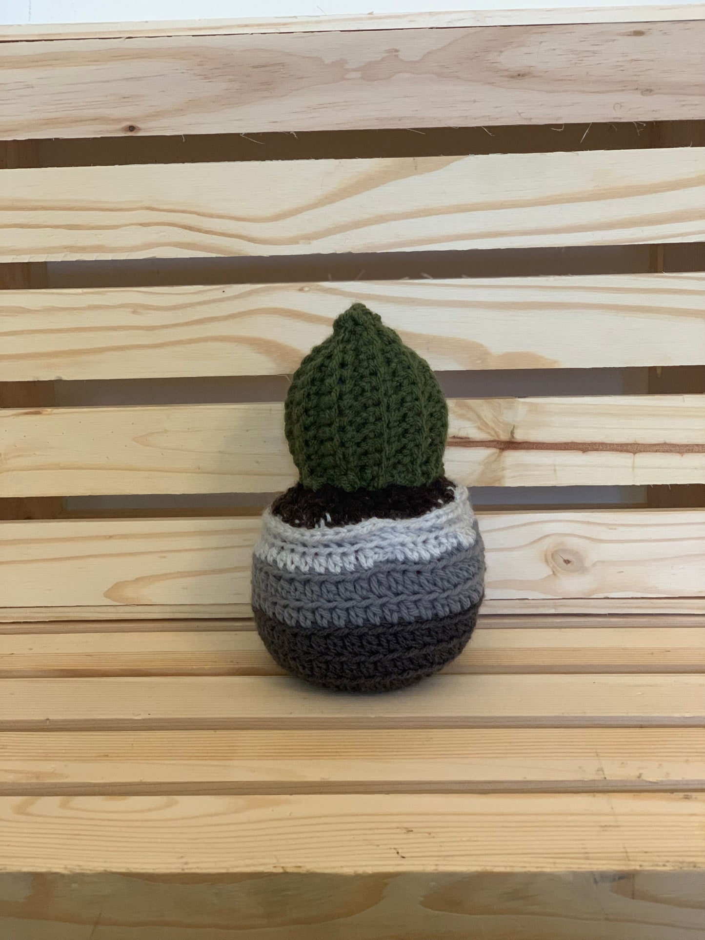 Crochet Cactus Plant