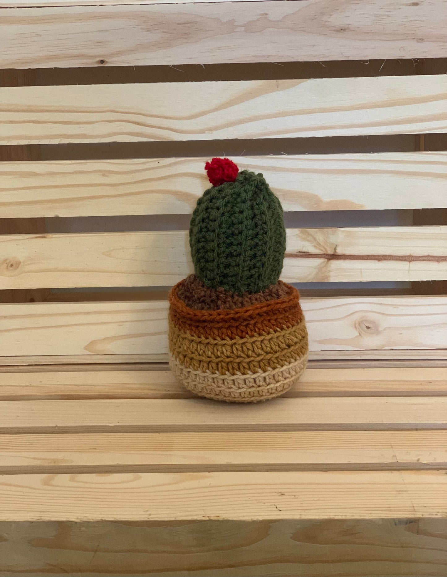 Crochet Cactus Plant