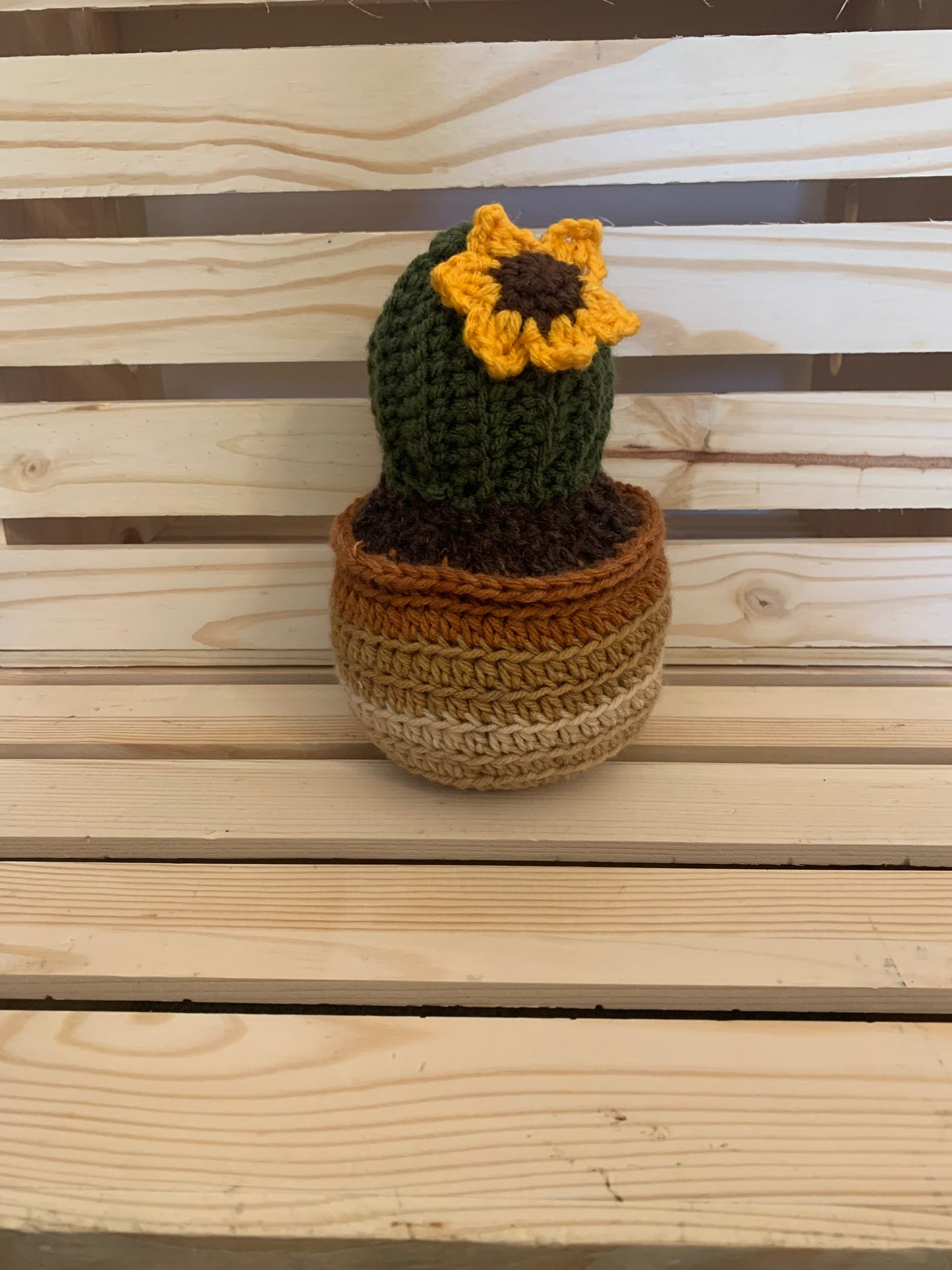 Crochet Cactus Plant