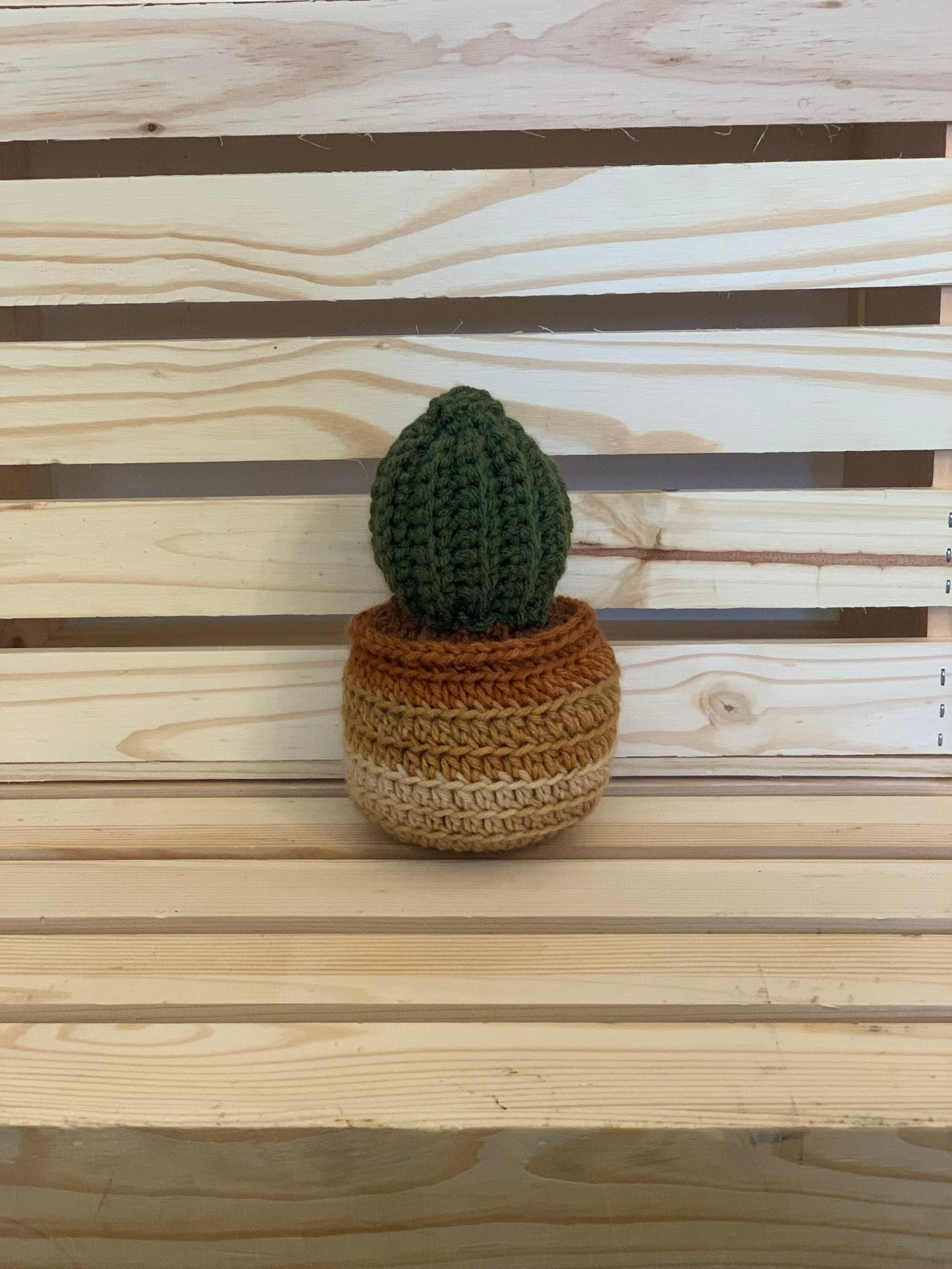 Crochet Cactus Plant