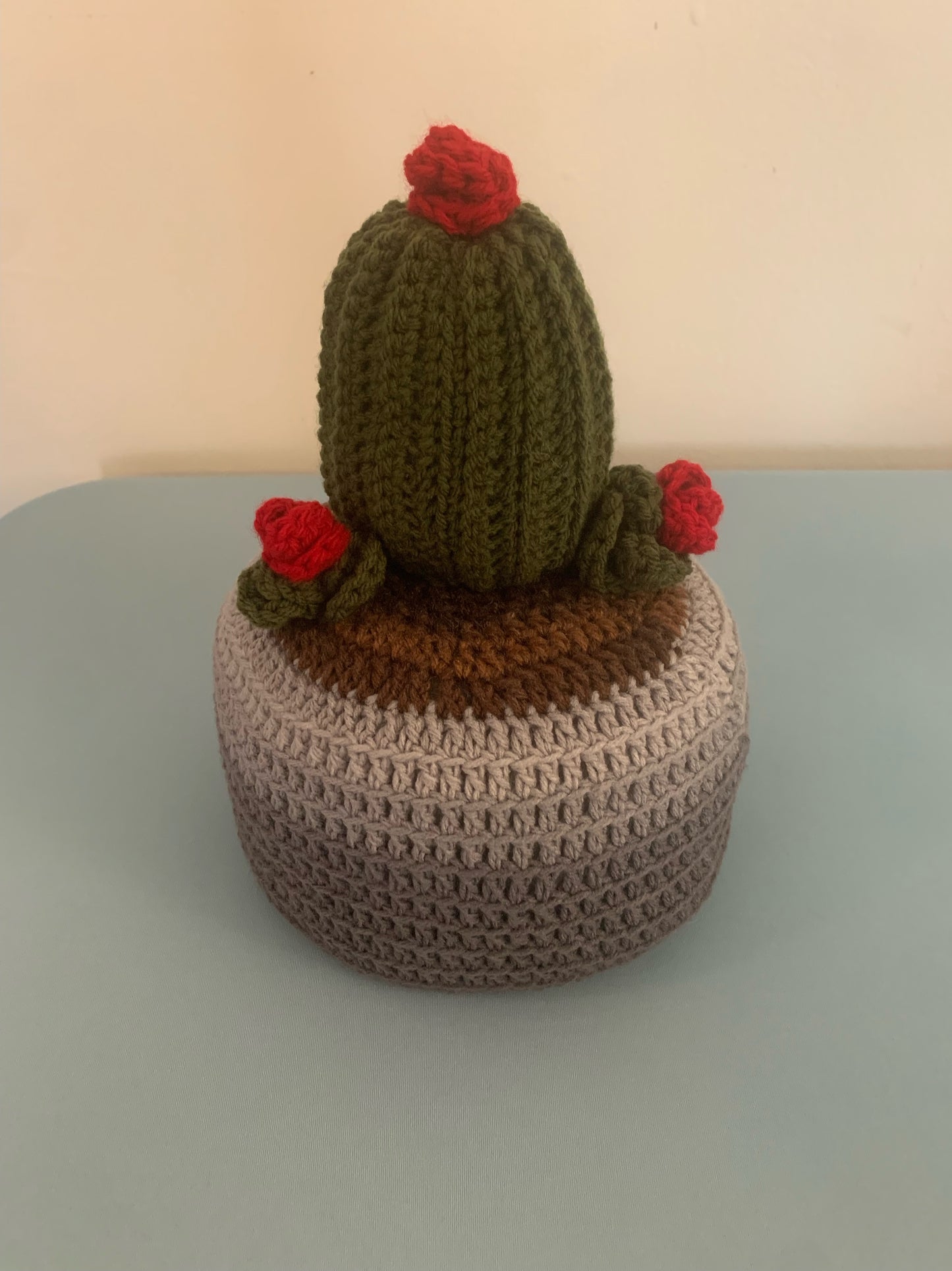 Crochet Cactus Plant