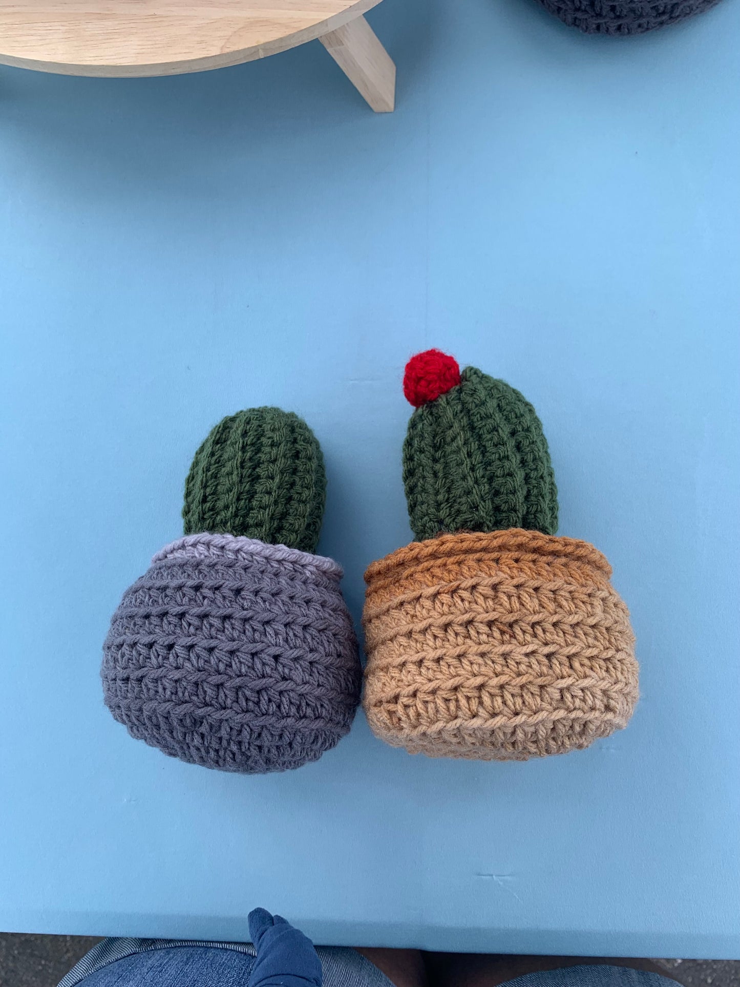 Crochet Cactus Plant