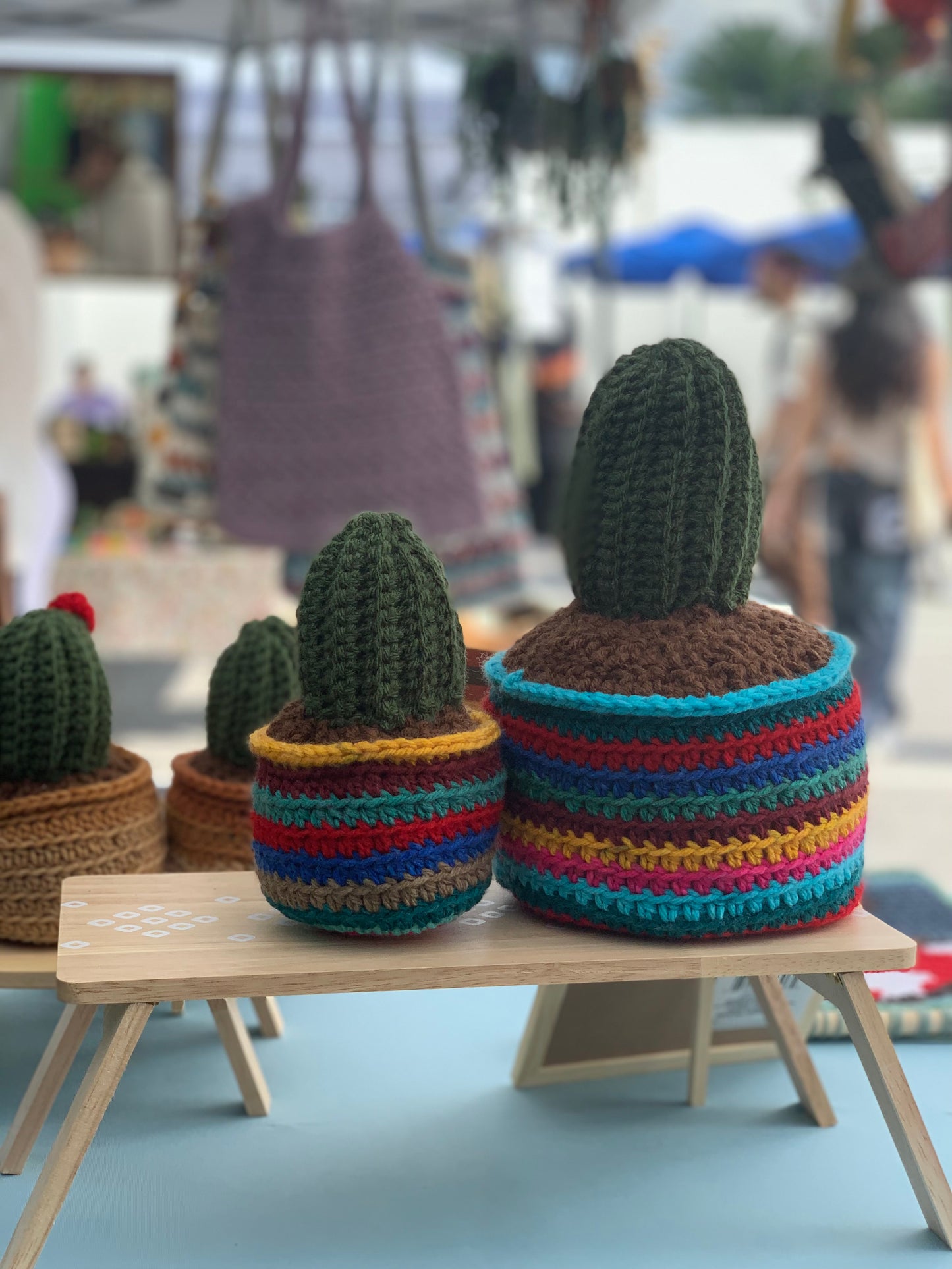 Crochet Cactus Plant