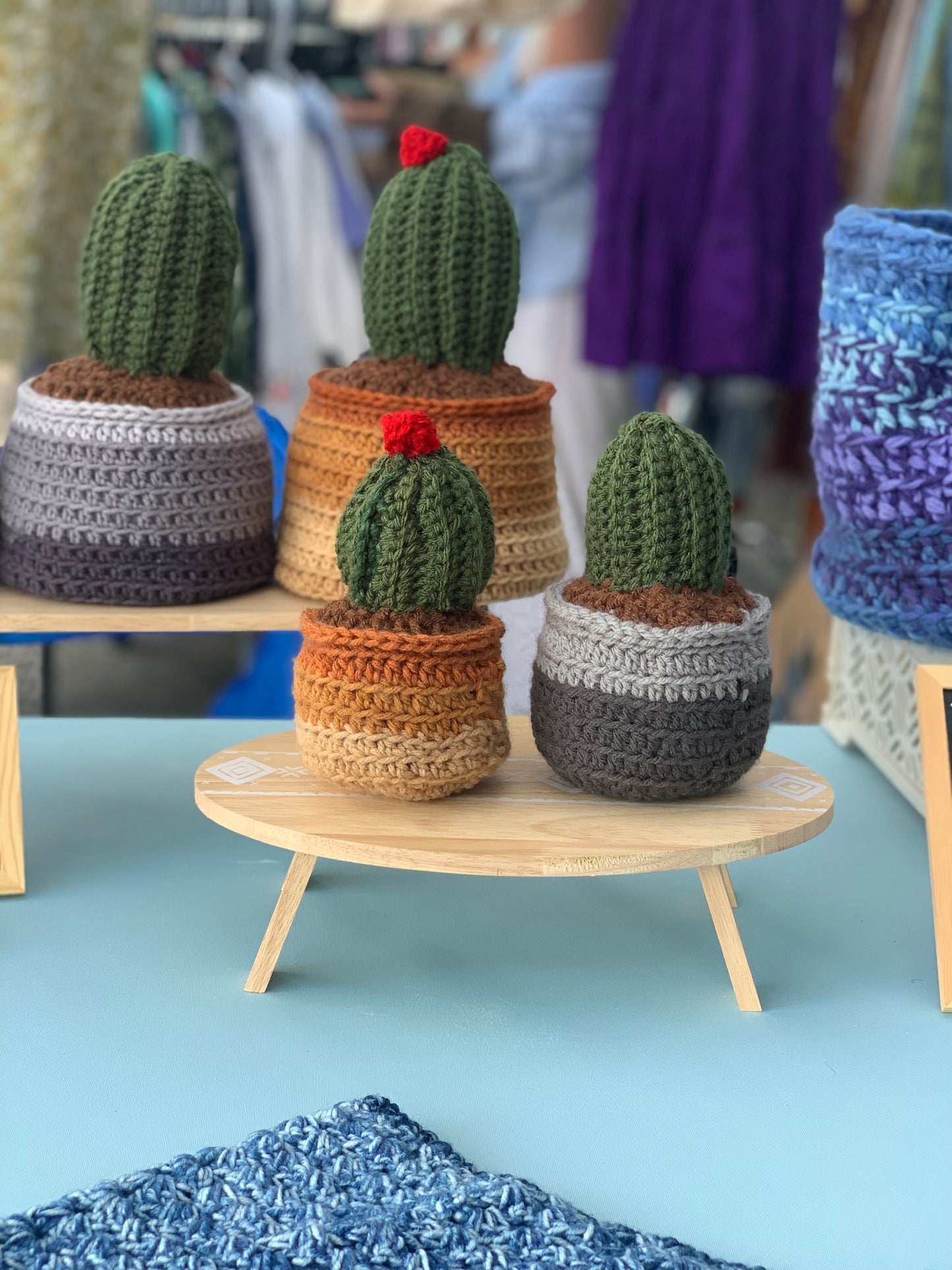 Crochet Cactus Plant