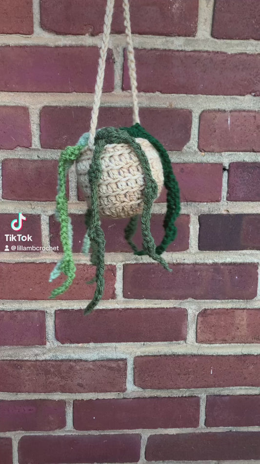 Crochet Hanging Plant